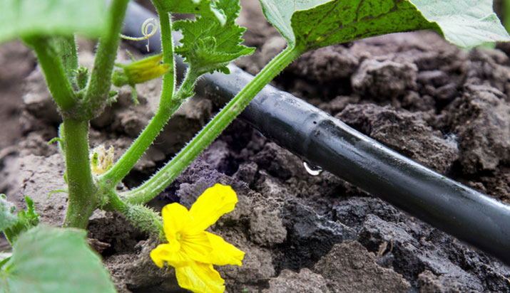 山東綠園節(jié)水灌溉設(shè)備有限公司