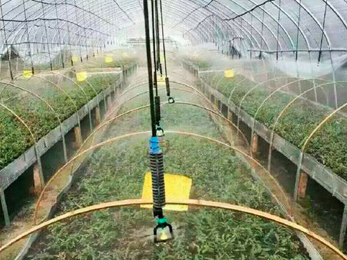 大棚吊掛微噴