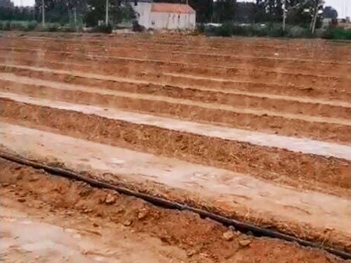 噴灌帶效果展示