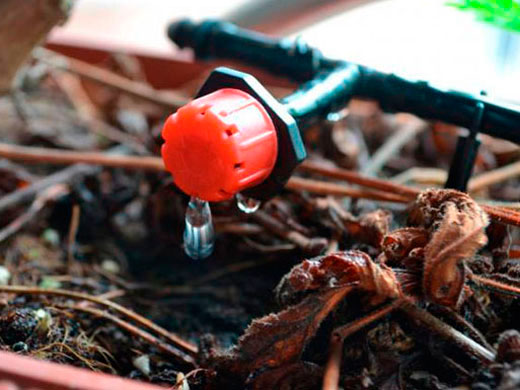 流量可調滴頭效果展示