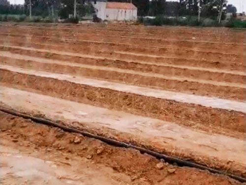 噴灌帶效果展示