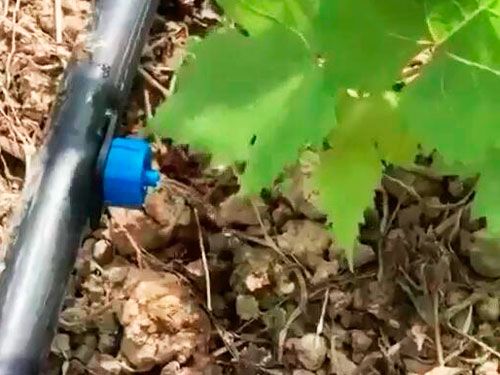 穩(wěn)流器效果展示